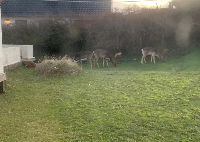 Zuidwest 6, Garden, Dunes & Free Parking Villa